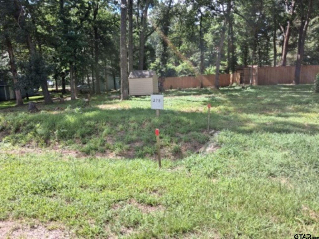 Picture 2