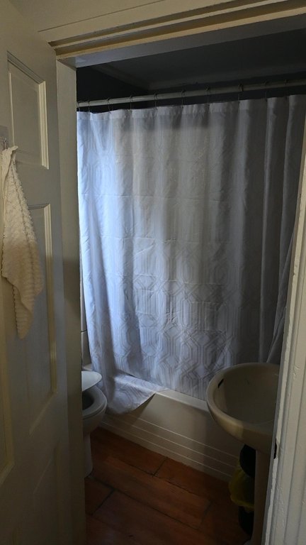 Picture 8