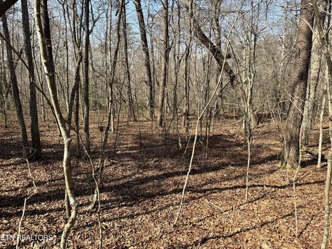 1.7 Acres Wooded Lot