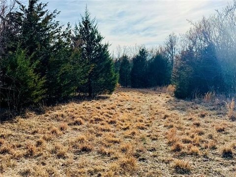 12 Acres Ideal Homesite