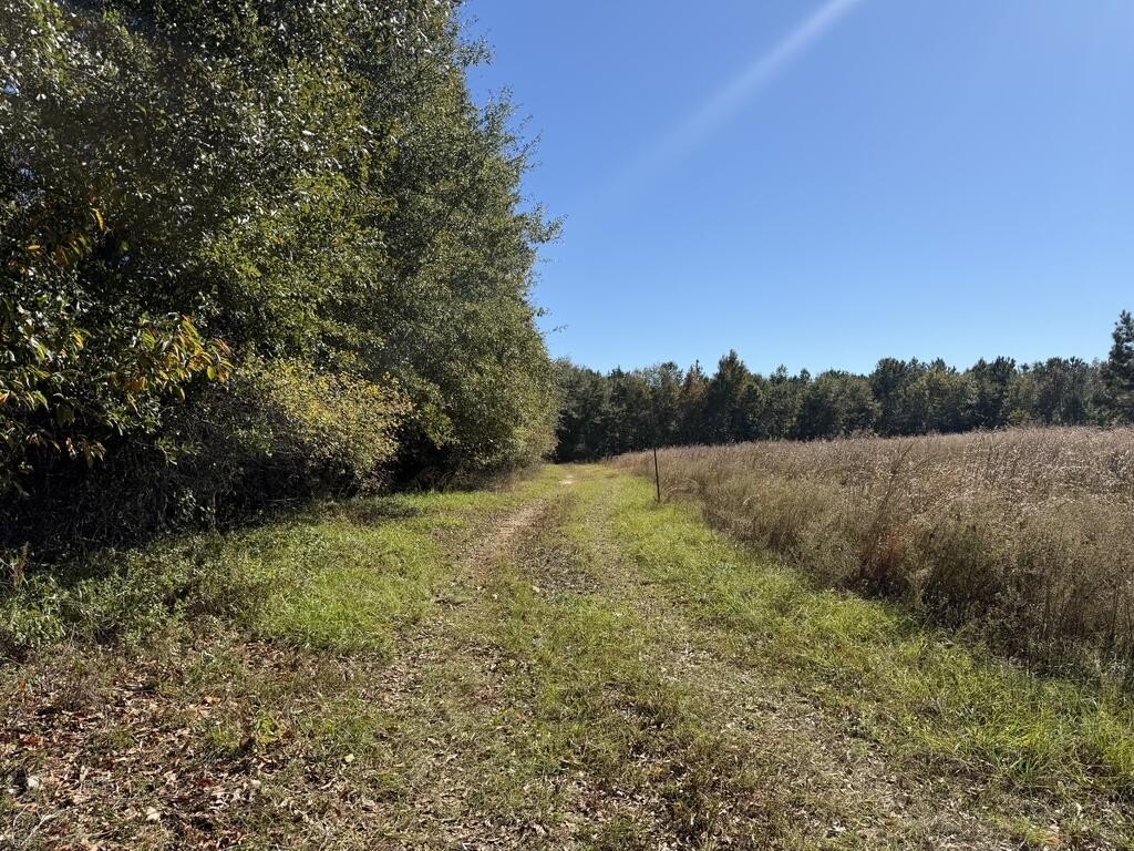 Picture 19