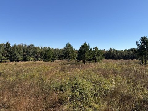 Land, Columbia, AL