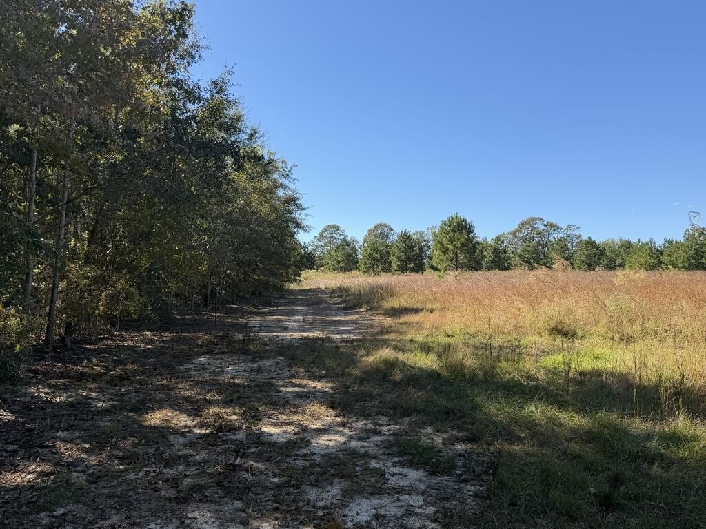 Picture 23