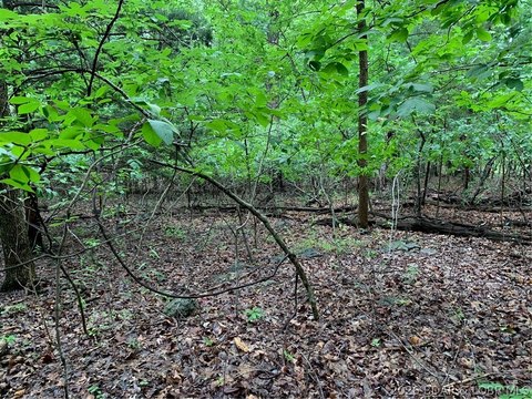 LAND - Lake Ozark, MO