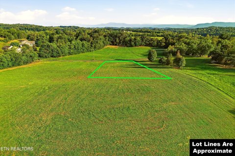 Cleared Level Land Parcel