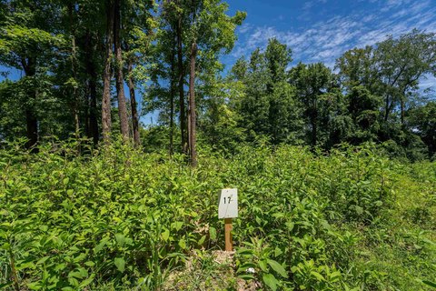 Residential Land in Cheat Lake