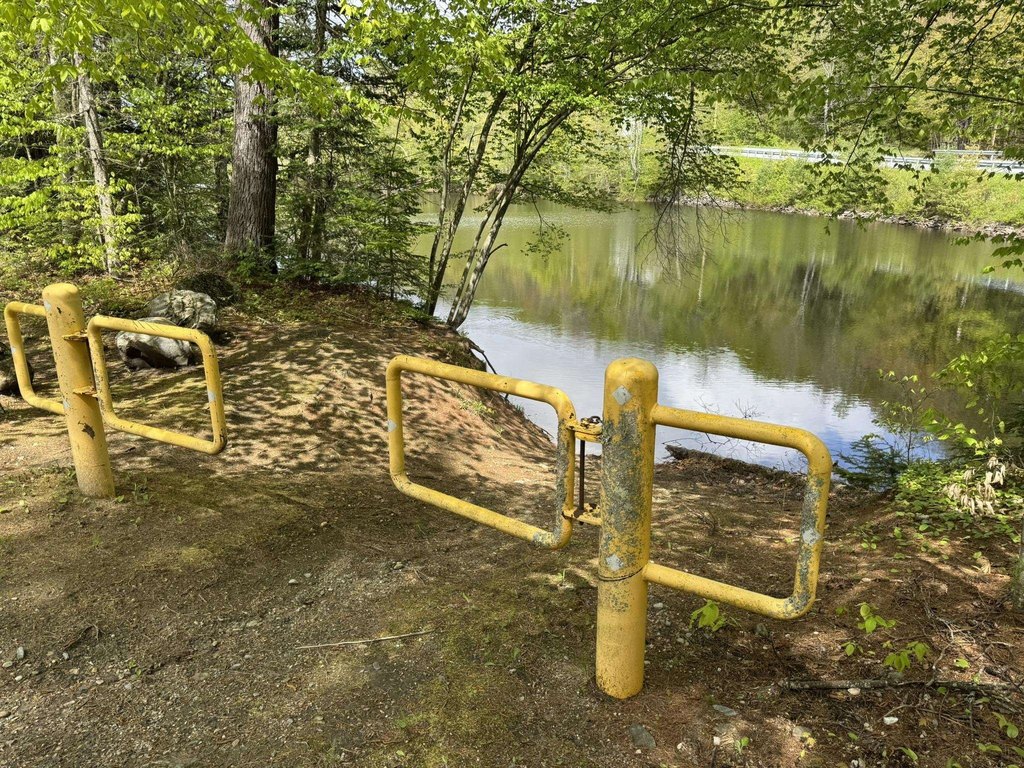 Picture 21