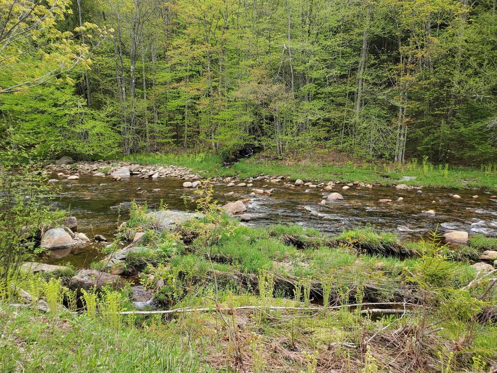 Picture 19