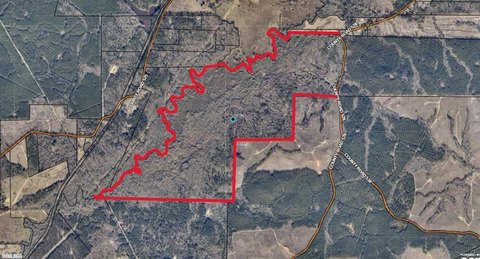 Expansive Land Near Nacogdoches