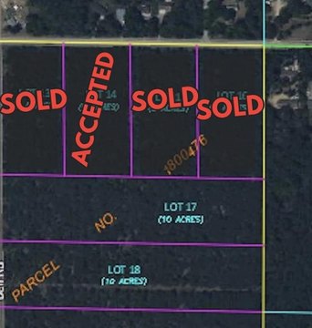 Wooded Land Parcel