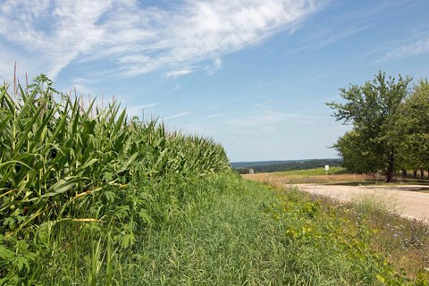 Lots & Acreage, Ridgeway, WI