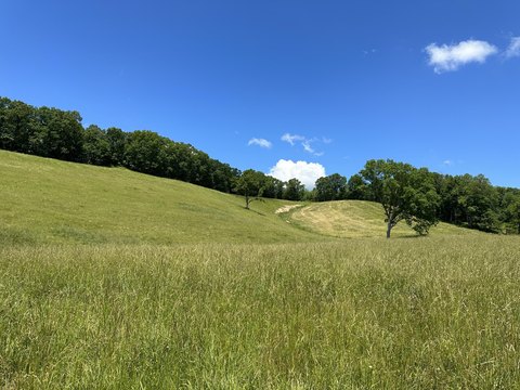 East Bernstadt Land with Views