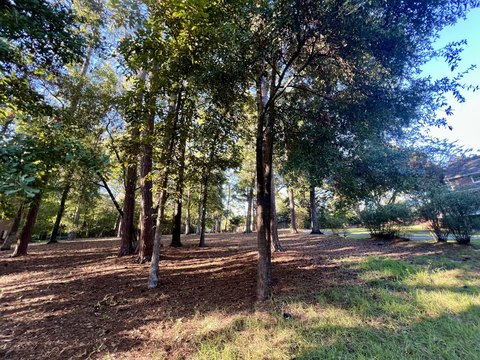 Land, Walterboro, SC