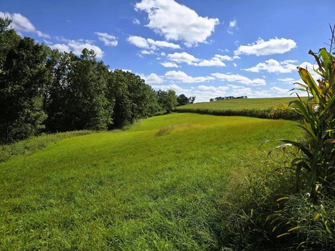 Driftless Region Land For Sale