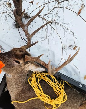 Driftless Region Land For Sale