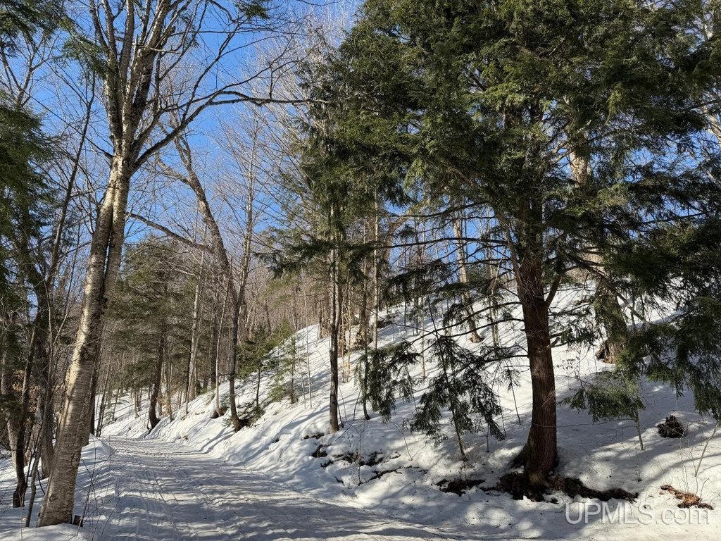 Picture 19
