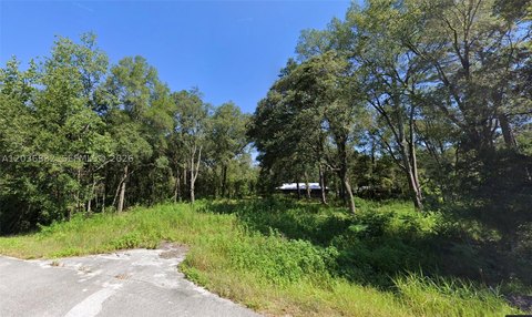 LAND - Ocala, FL