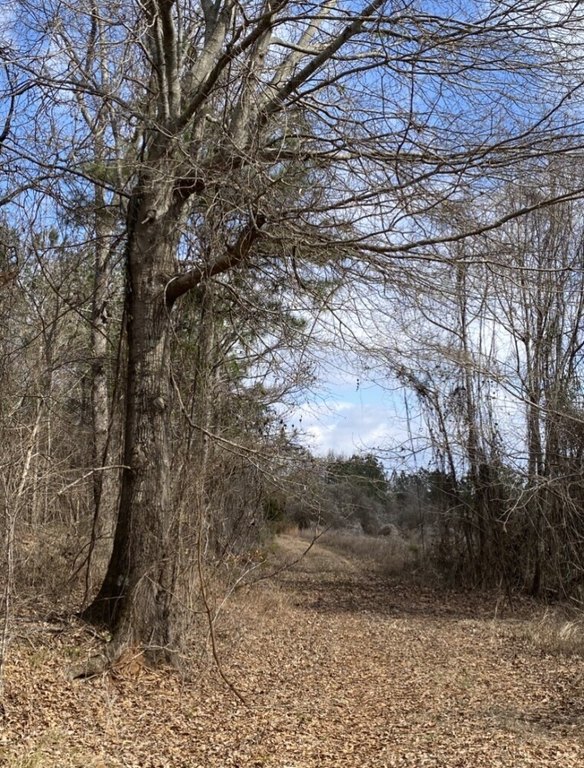 Picture 17