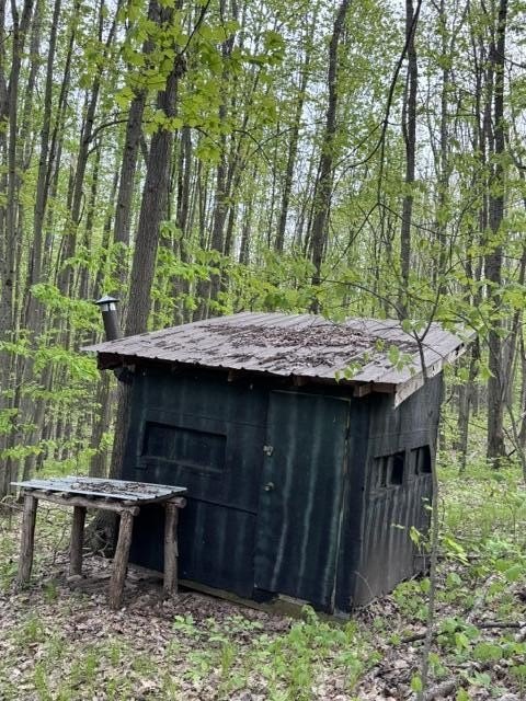 Picture 6