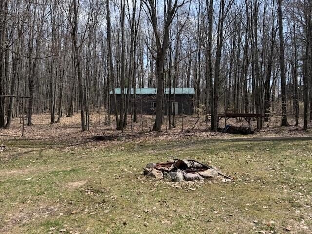 Picture 7
