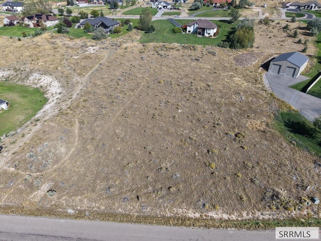 Picture 5