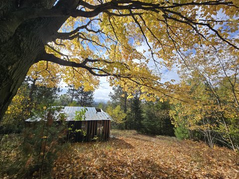 Wooded Acreage Near Fairview