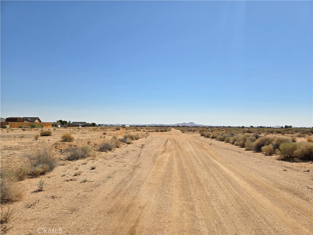 Picture 4