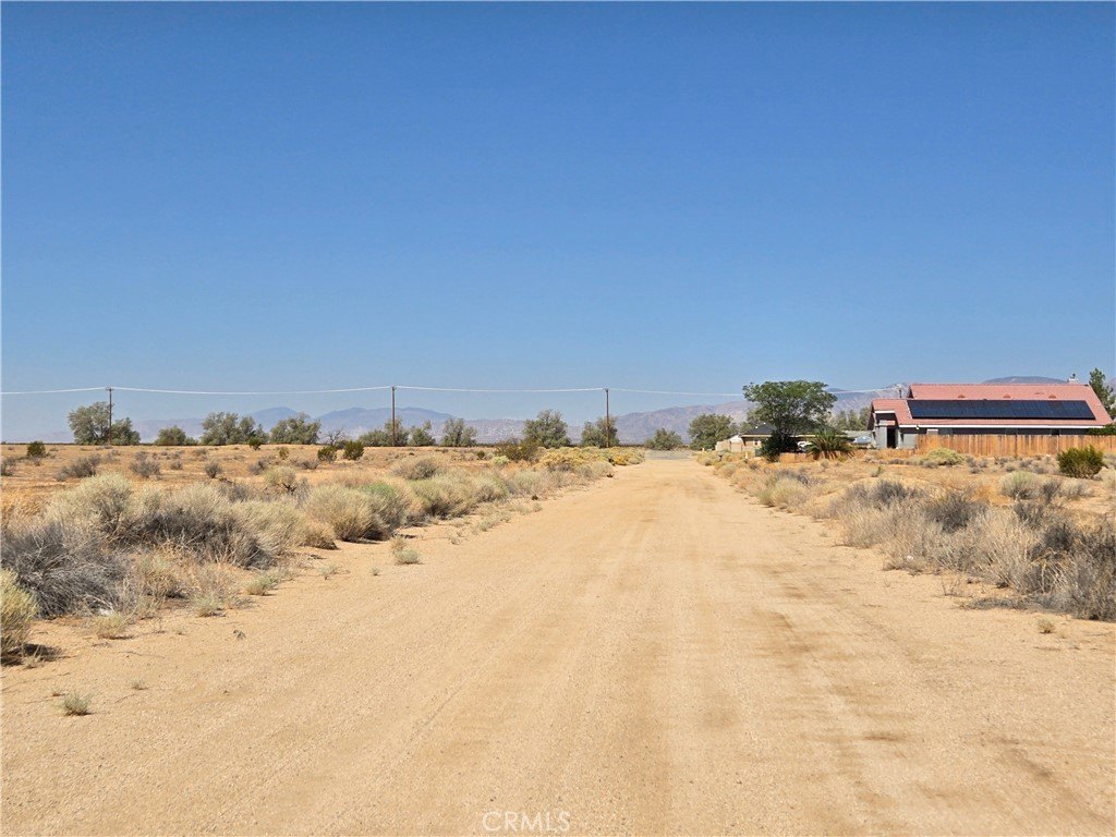 Picture 5