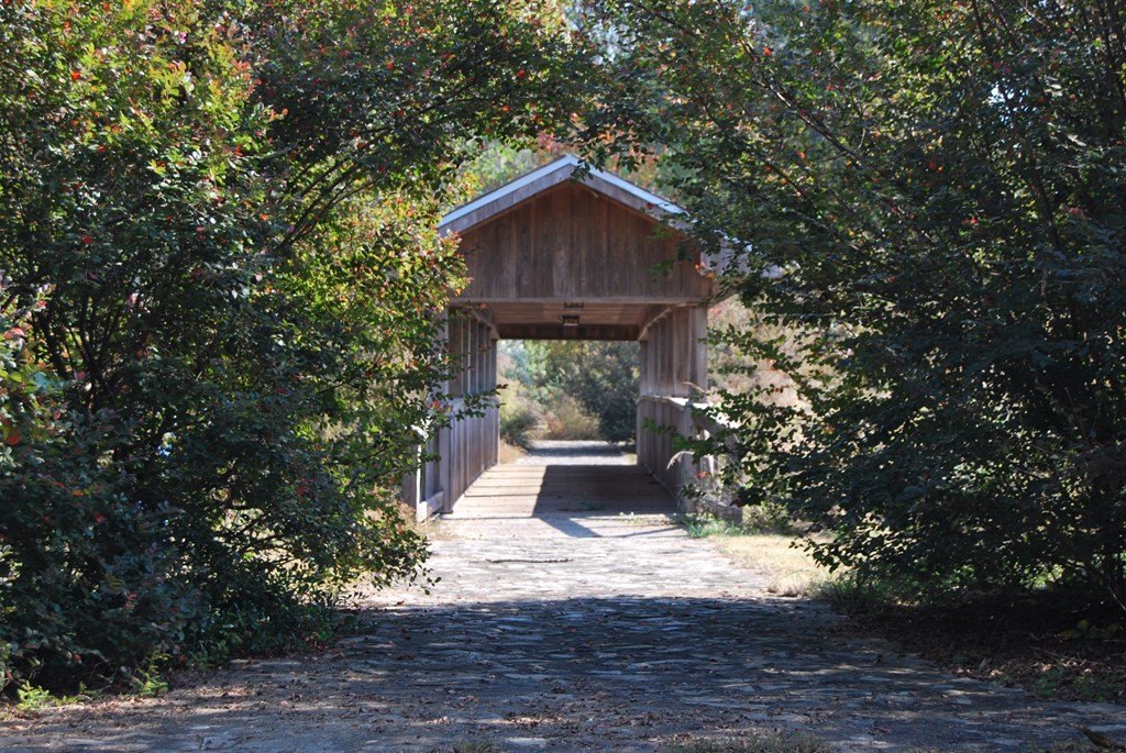 Picture 14