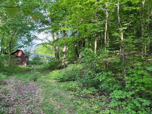 Seymour, TN Land Opportunity