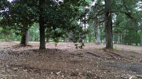Land, Laurinburg, NC
