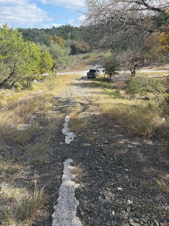 Picture 7