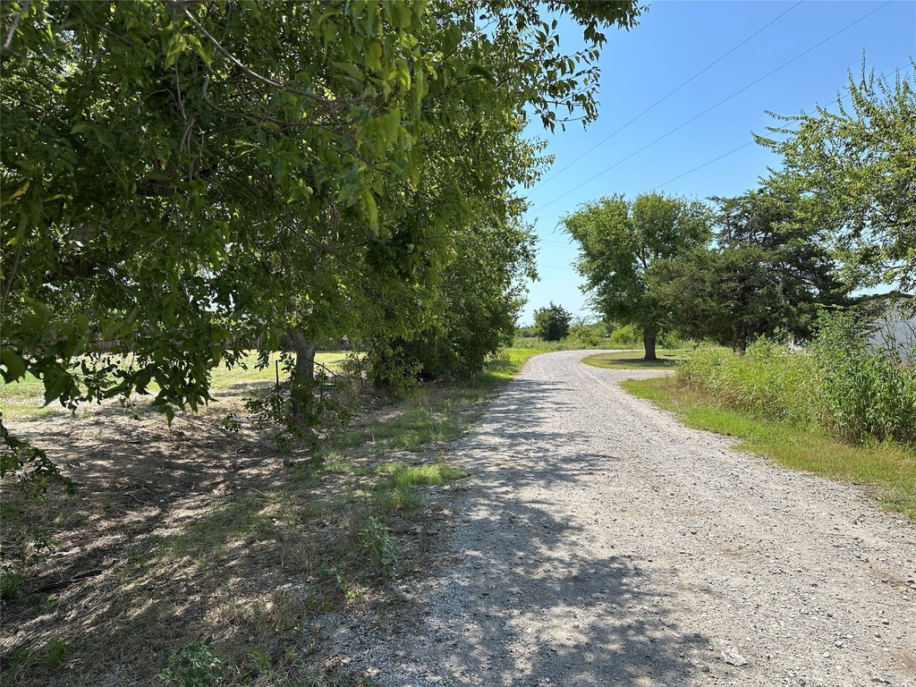 Picture 11