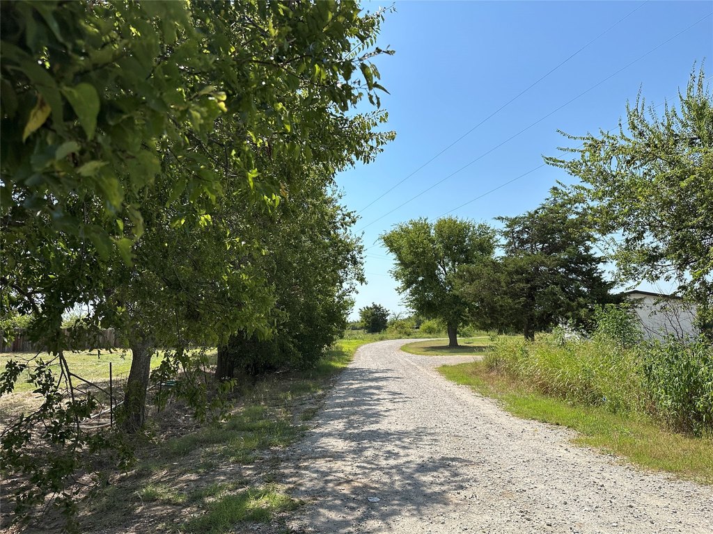 Picture 15