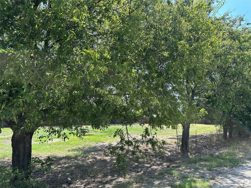 Picture 16
