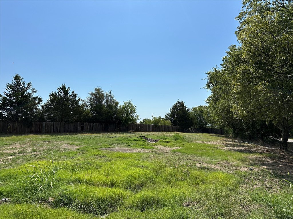 Picture 4