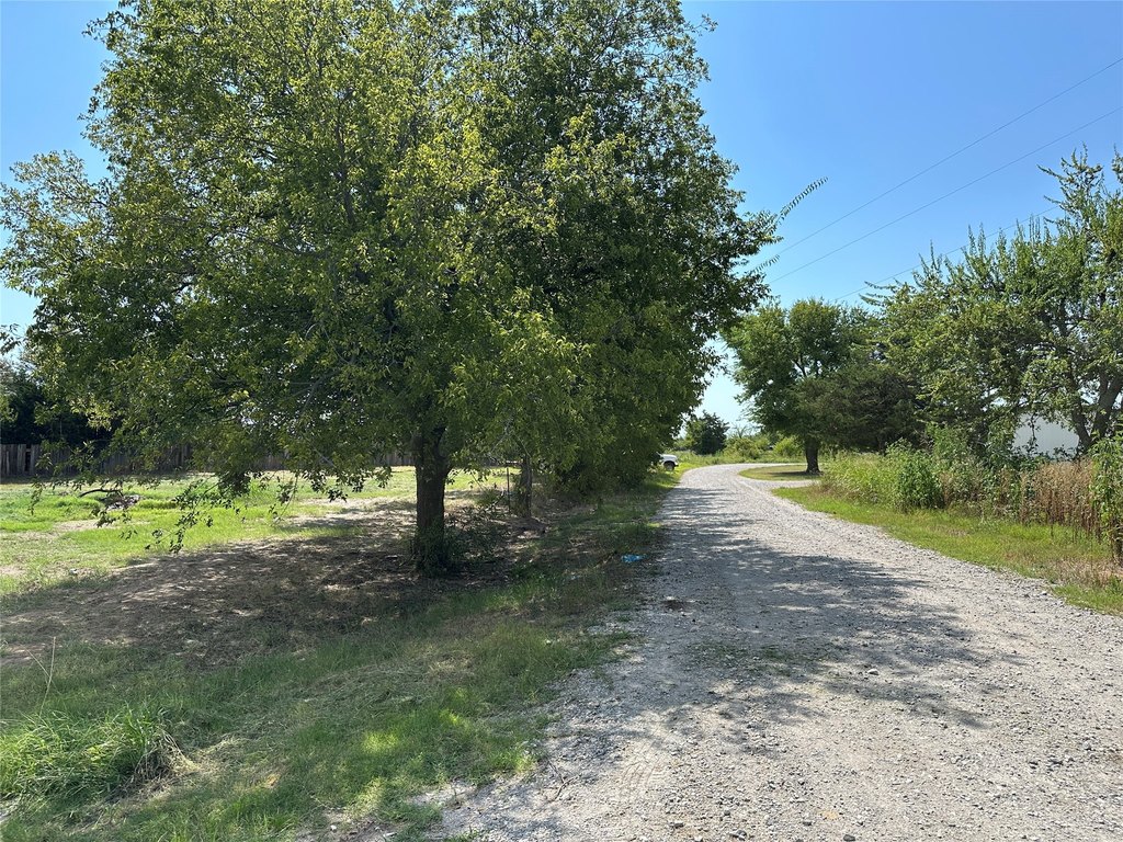 Picture 18