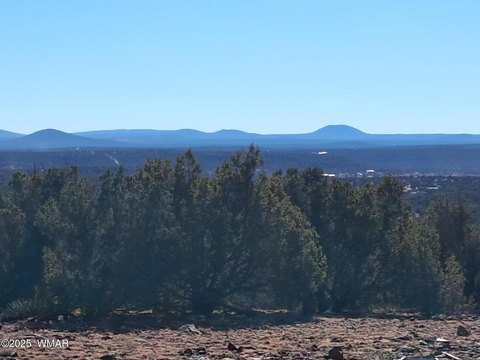 Concho, AZ Land For Sale