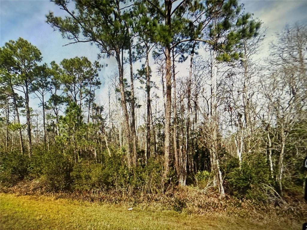 Picture 15
