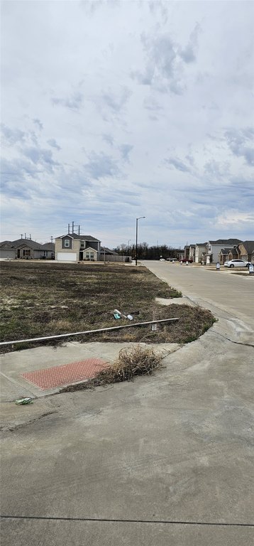 Picture 15