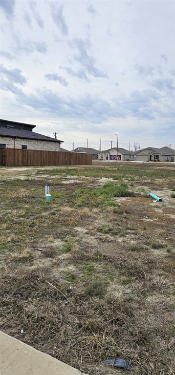 Picture 8