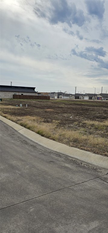 Picture 16