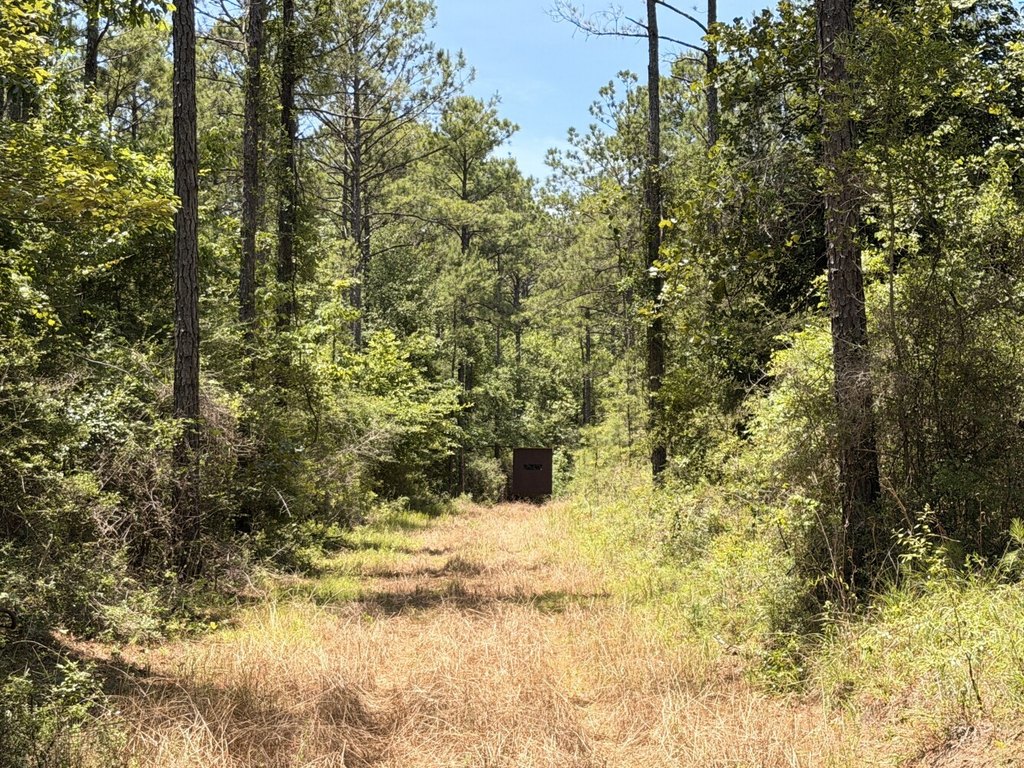 Picture 19