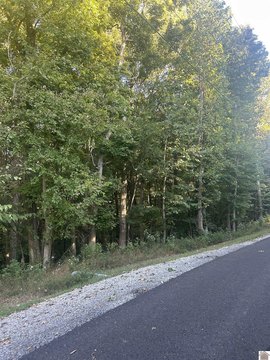 Dockable Waterfront Hunting Lots