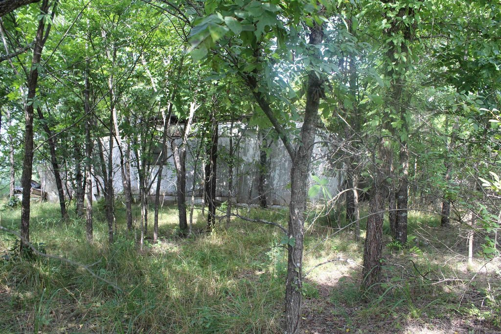Picture 12