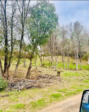 LAND - Clearlake, CA