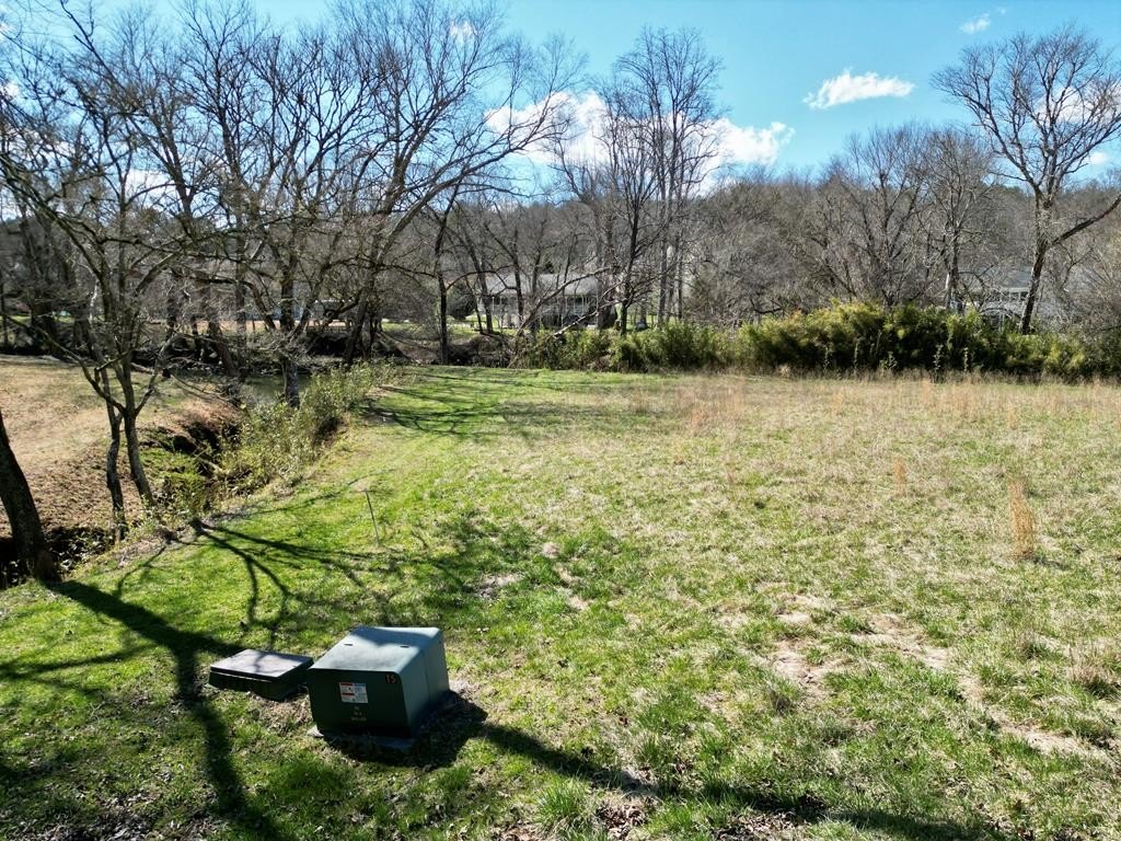 Picture 13