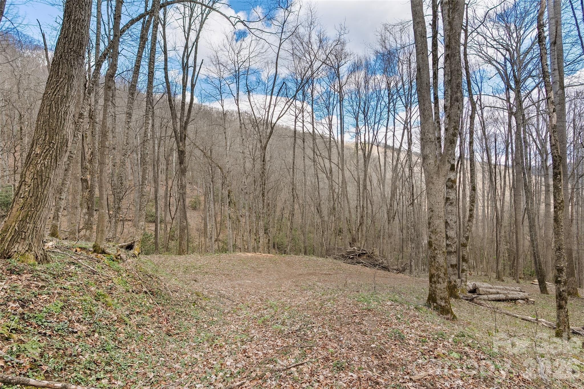 Waynesville Land with Improvements