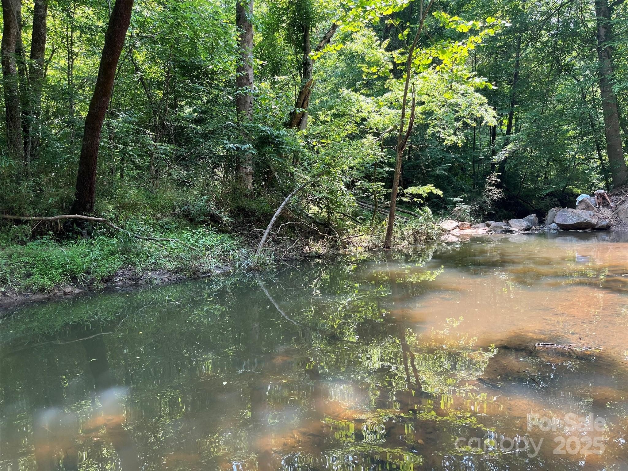 Waterfront Land on Mills Creek