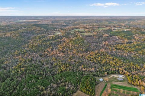 Agricultural Hunting Tract